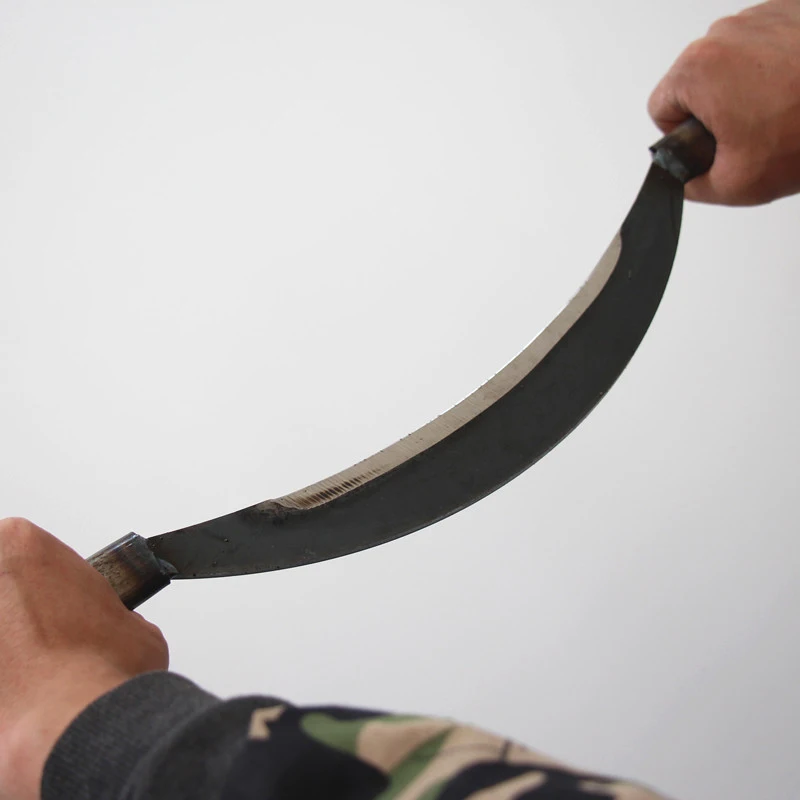 Herramienta de carpintería cur - Workshop Tools For Carpentry reseña y precio