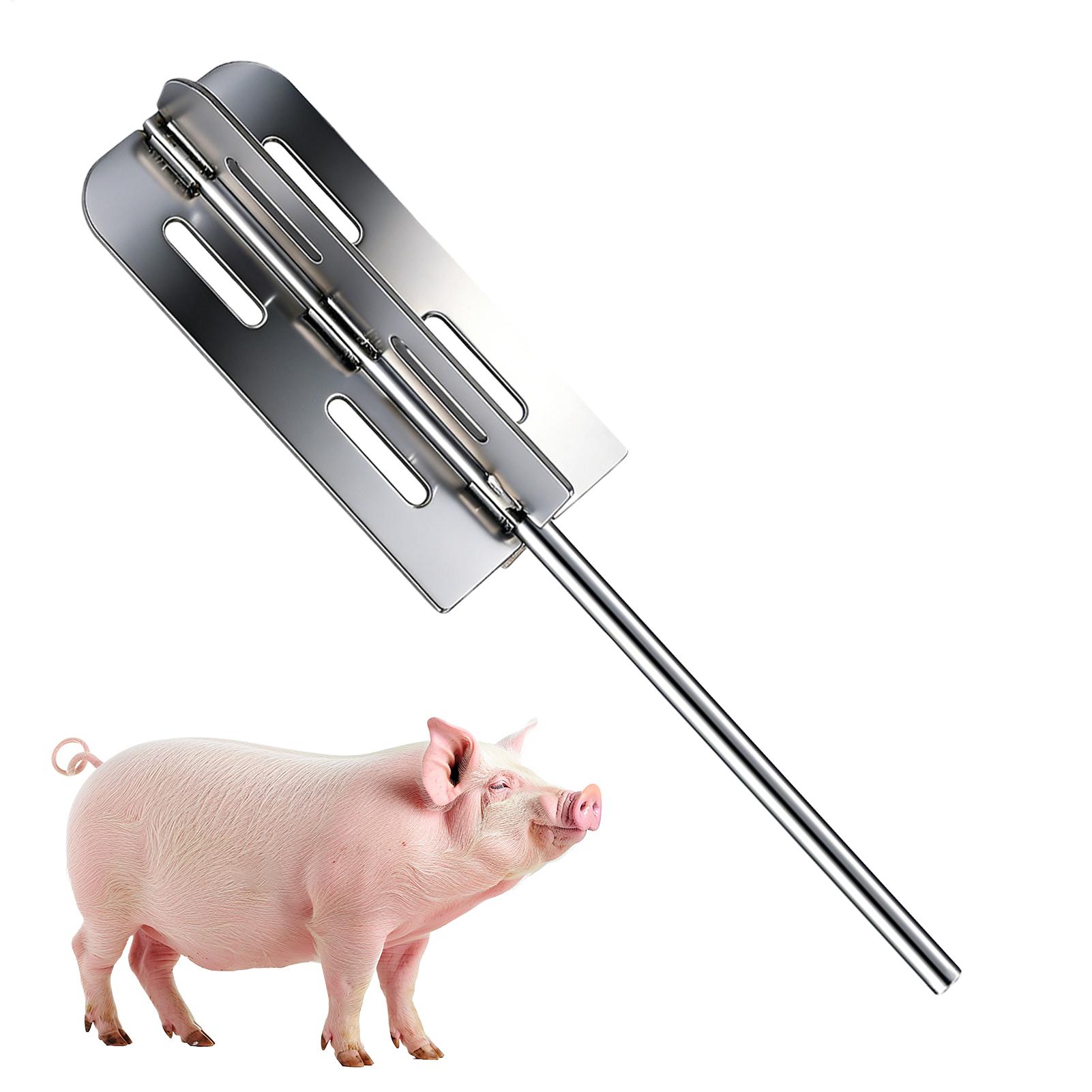 Herramienta para remover pelo  - Power Tools For Workshop reseña y precio
